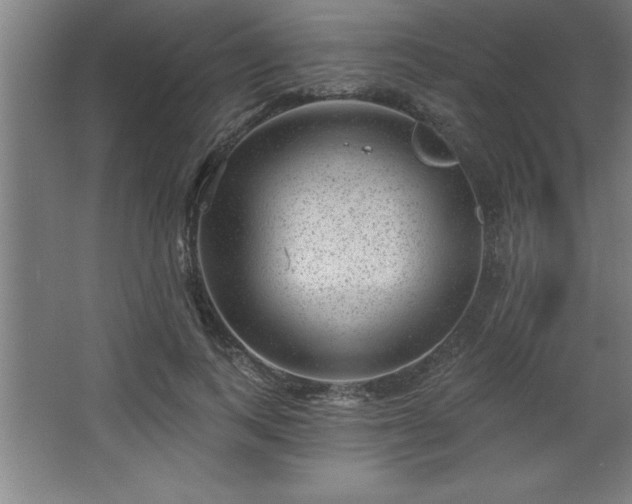 X0000068720743200605010933