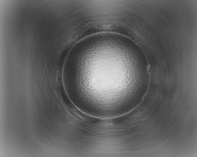 X0000068720747200605010933