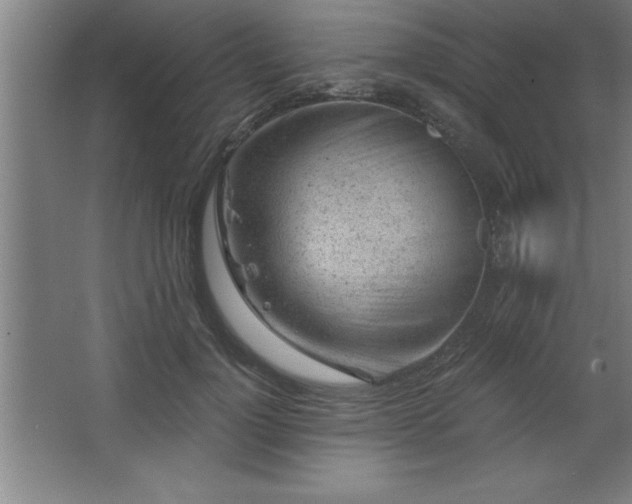 X0000068720748200605010933