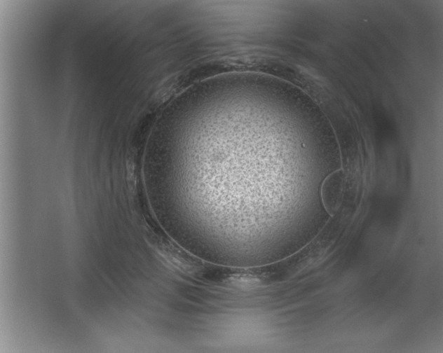 X0000068720749200605010933