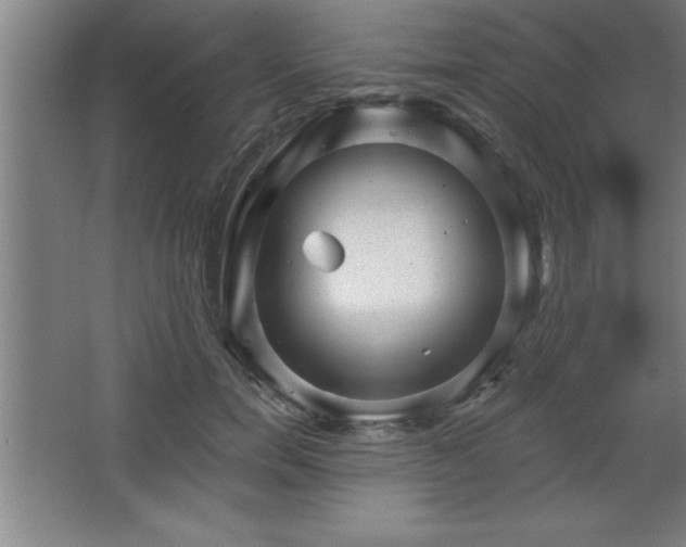 X0000068720750200605010933