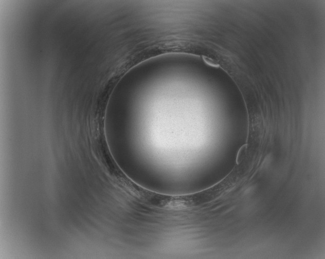 X0000068720751200605010933