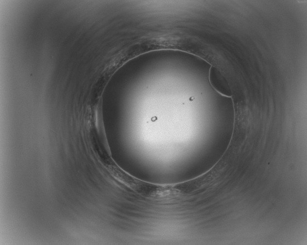 X0000068720752200605010933