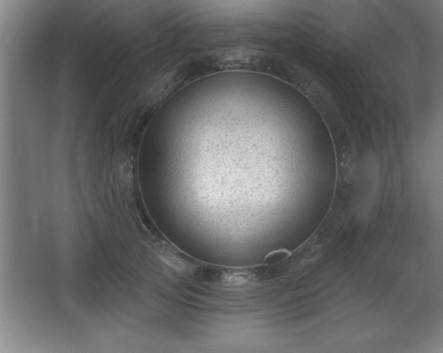 X0000068720753200605010933