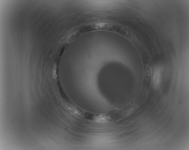 X0000068720754200605010933