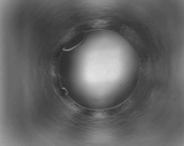 X0000068720755200605010933