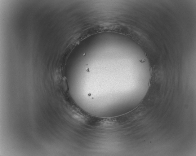 X0000068720756200605010933