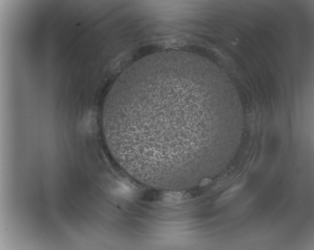 X0000068720757200605010933