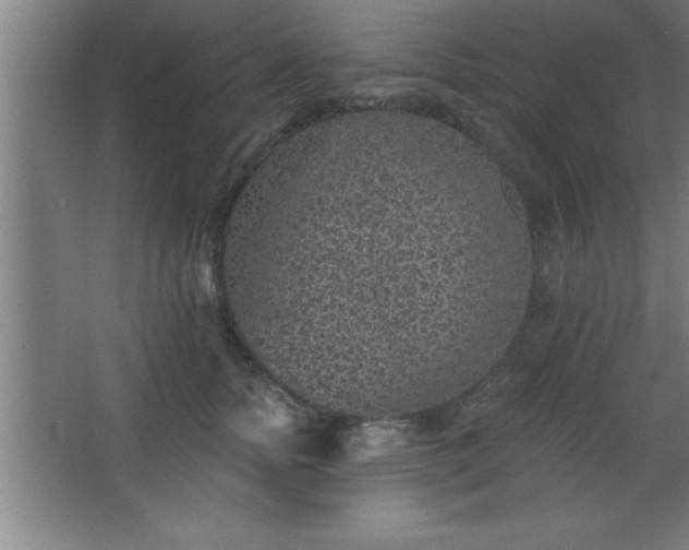 X0000068720758200605010933