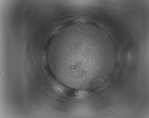 X0000068720759200605010933