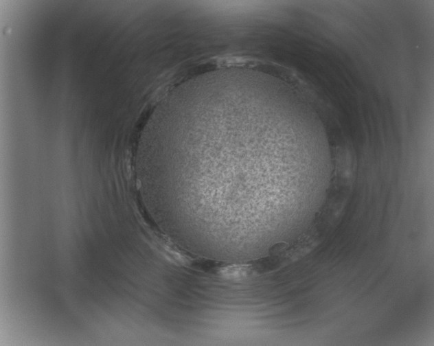 X0000068720761200605010933