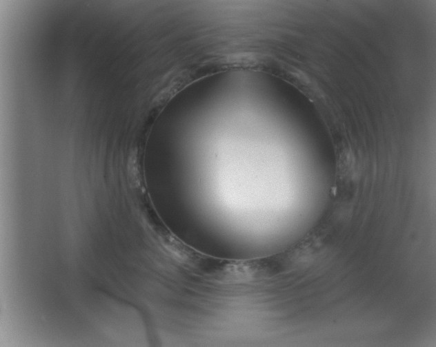 X0000068720764200605010933