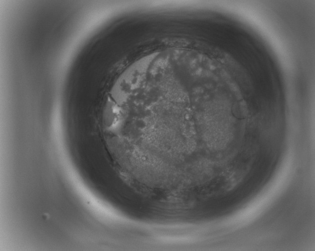 X0000068720765200605010933