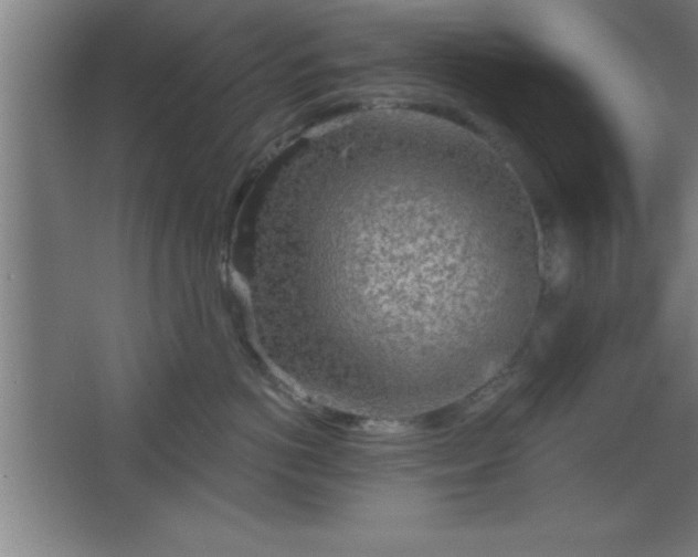 X0000068720766200605010933