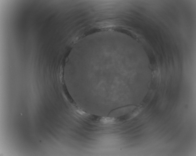 X0000068720767200605010933