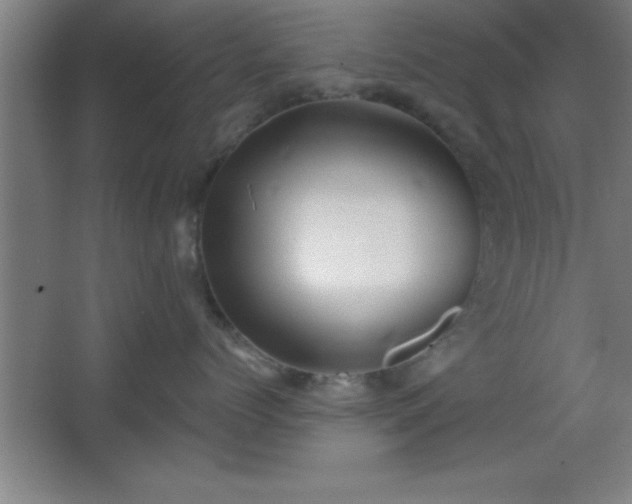 X0000068720768200605010933