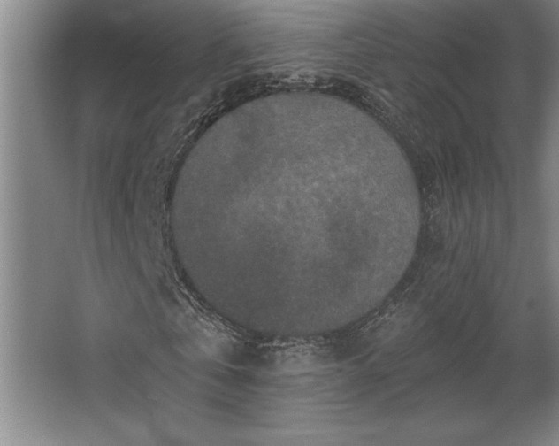 X0000068720769200605010932