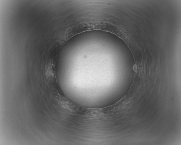 X0000068720770200605010932