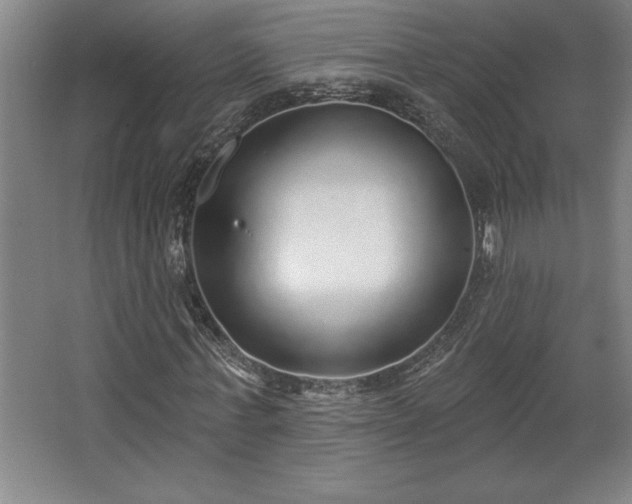 X0000068720771200605010932