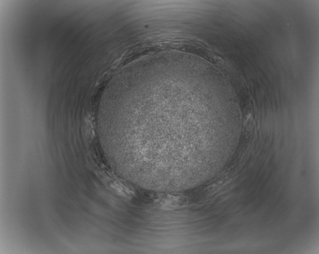 X0000068720772200605010932