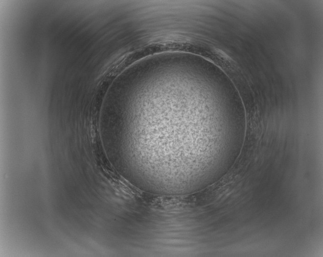 X0000068720774200605010932