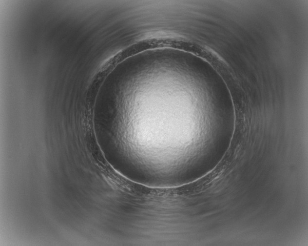 X0000068720775200605010932