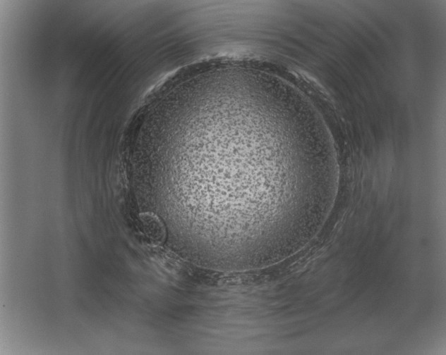 X0000068720776200605010932