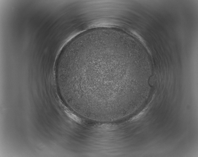 X0000068720779200605010932