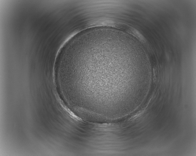 X0000068720780200605010932