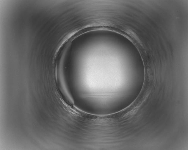 X0000068720781200605010932