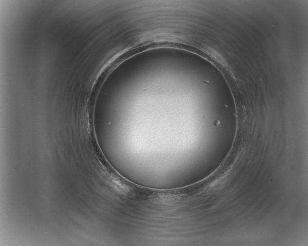 X0000068720782200605010932