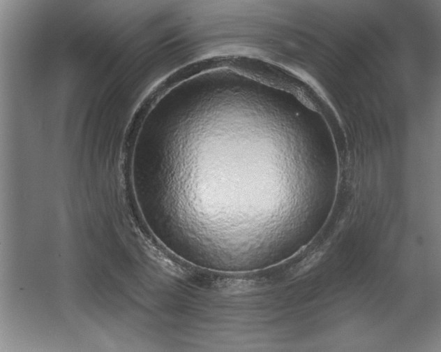 X0000068720783200605010932