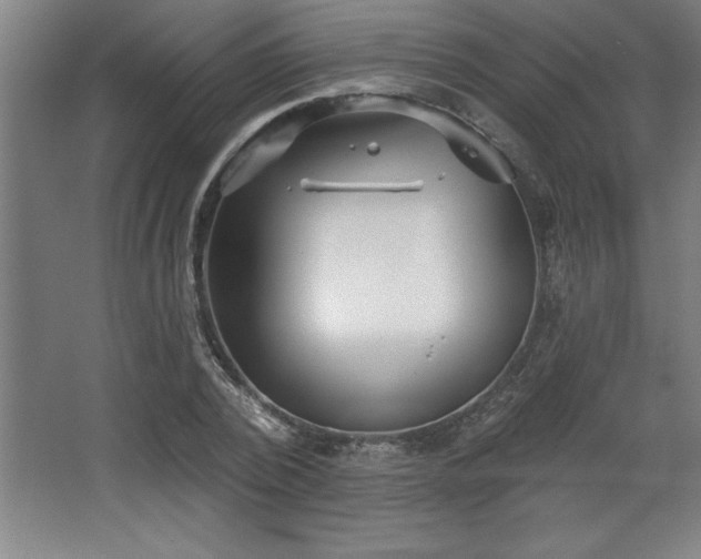 X0000068720784200605010932