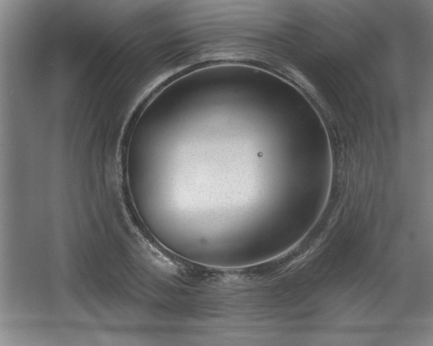 X0000068720787200605010932