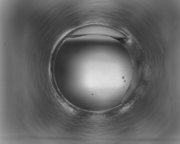 X0000068720788200605010932