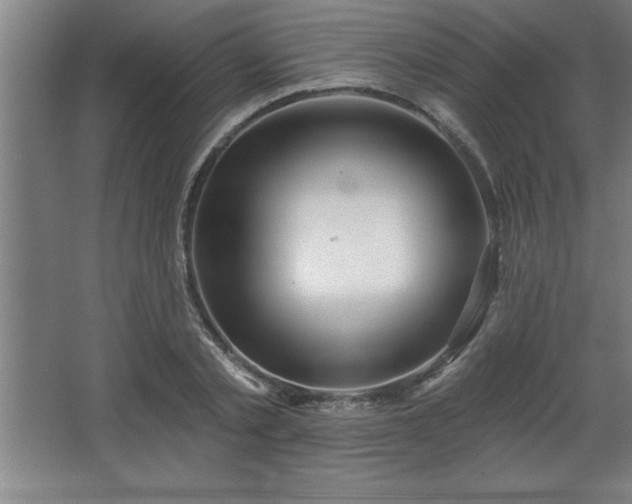 X0000068720789200605010932