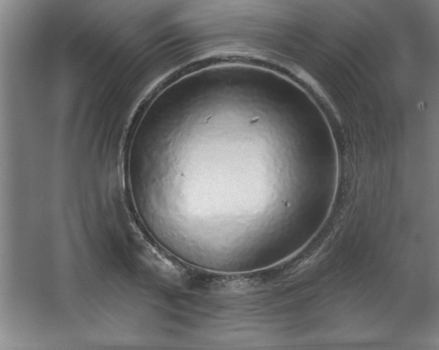 X0000068720791200605010932