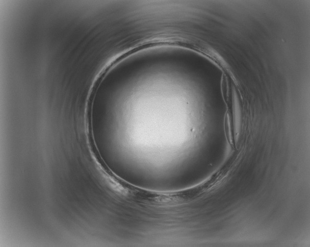 X0000068720795200605010932