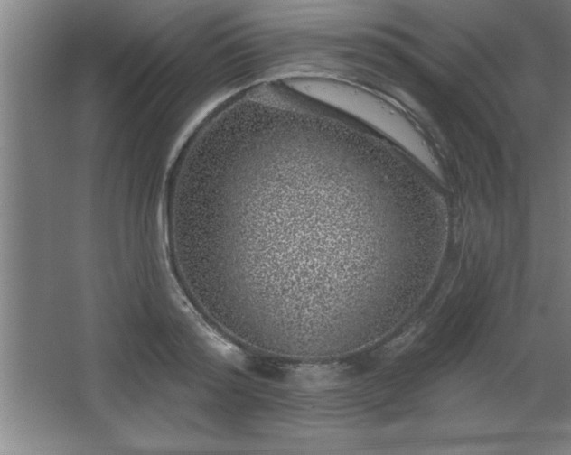 X0000068720796200605010932