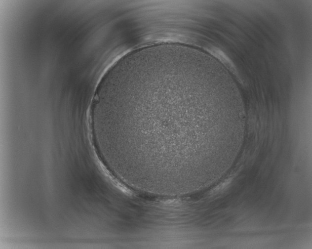 X0000068720798200605010932