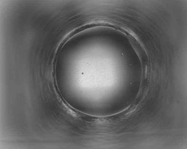 X0000068720799200605010932