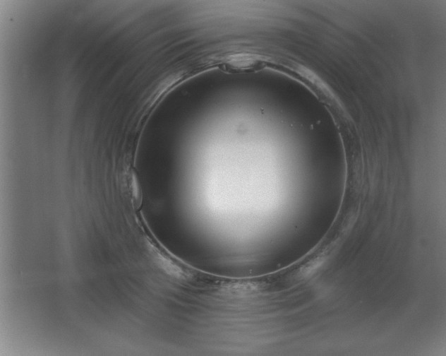 X0000068720801200605010932