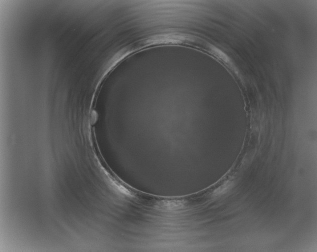 X0000068720802200605010932