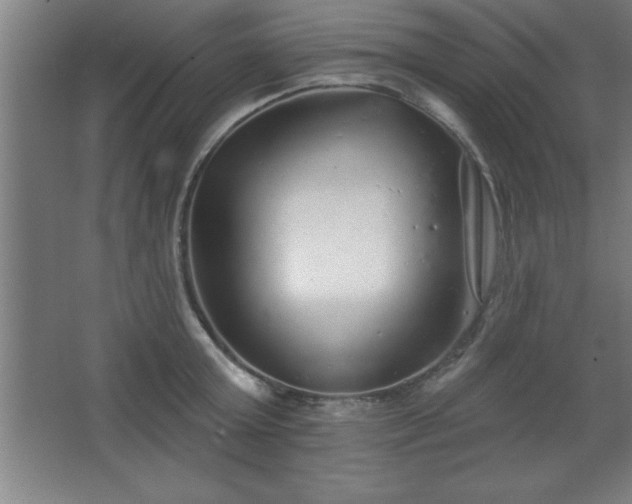 X0000068720803200605010932