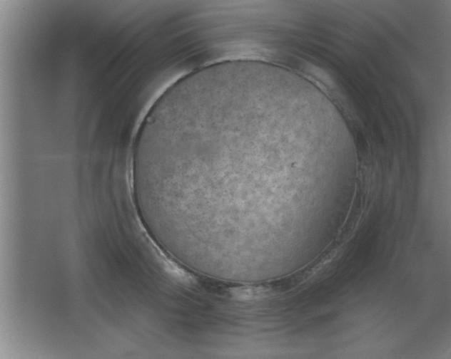 X0000068720804200605010932