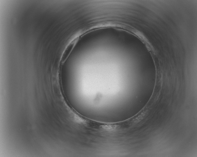 X0000068720805200605010932