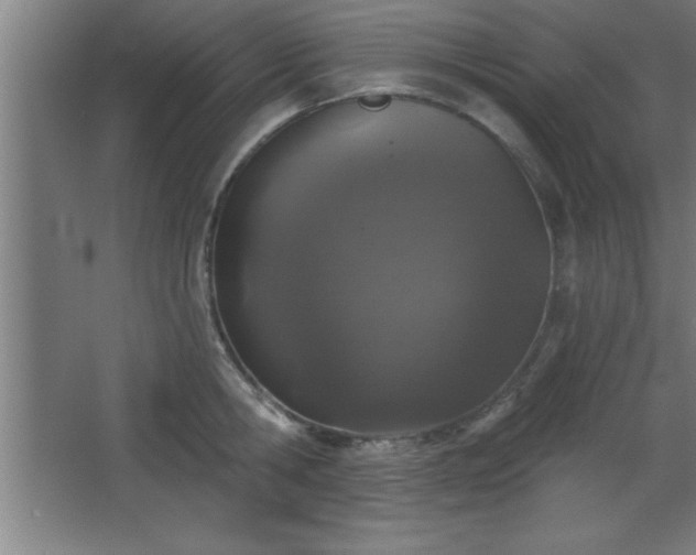 X0000068720806200605010932