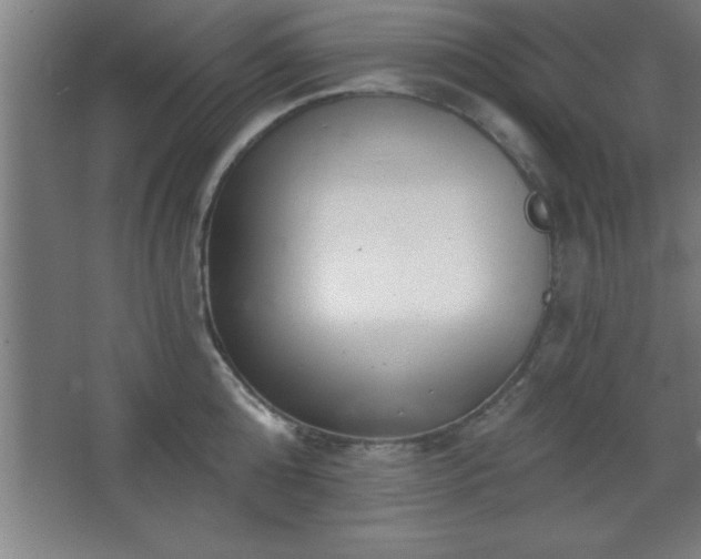 X0000068720808200605010932