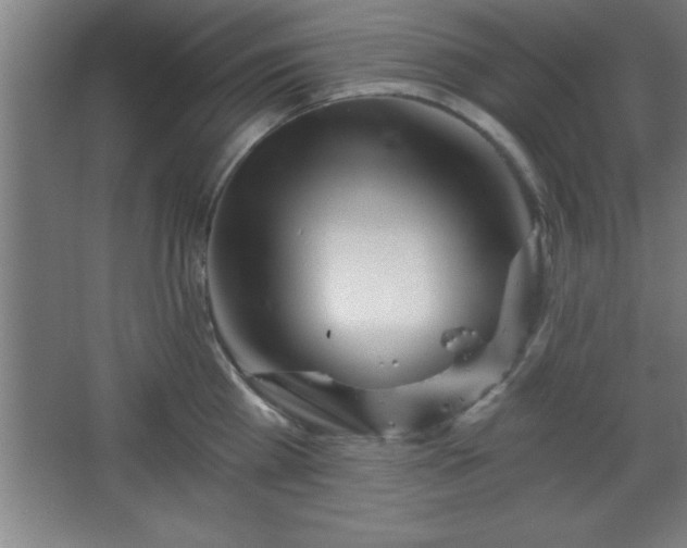 X0000068720809200605010932