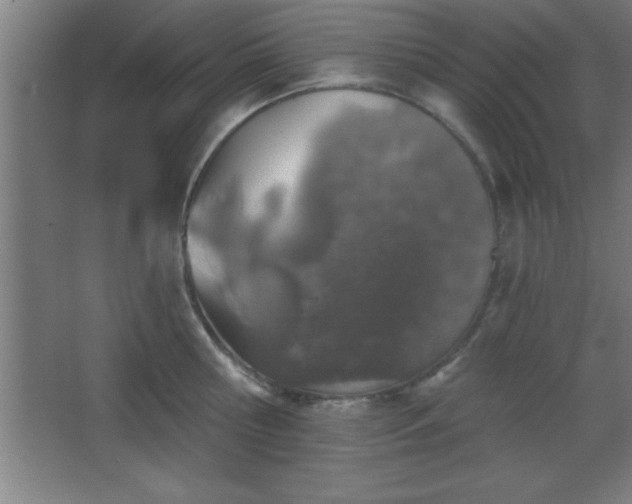 X0000068720810200605010932